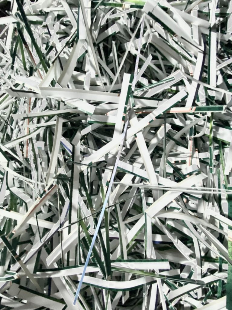 The Economics of Paper Recycling